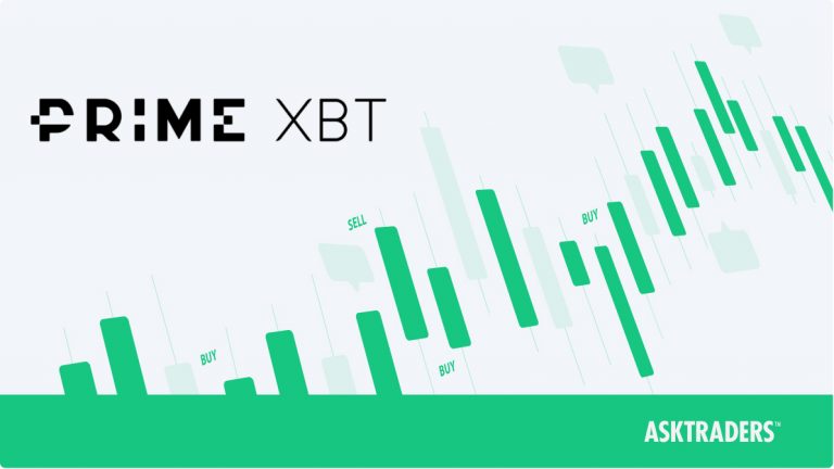 Discover the Power of the Telegram Bot PrimeXBT Discover the Power of the Telegram Bot PrimeXBT