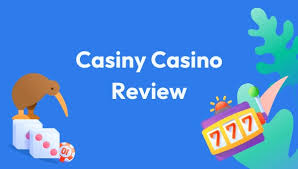 Everything You Need to Know About Casiny Login 26